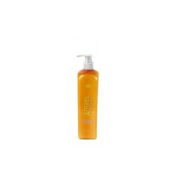 Šampūnas dažytiems plaukams Angel Marine Depth SPA Shampoo Coloured Hair 100 ml -0