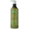 Šampūnas sausiems ir pažeistiems plaukams Dancoly Aroma Shampoo Dry and Damaged hair 1000 ml