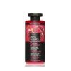 Dazytu-plauku-kondicionierius-su-organiniu-granatu-seklu-aliejais-Farcom-Mea-Natura-Pomegranate-Conditioner-Color-Brilliance-Youth-Save-For-Color-Treated-hair-300-ml.jpg