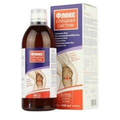 Maisto papildas FLEX SPECIAL SYSTEM, 600 ml